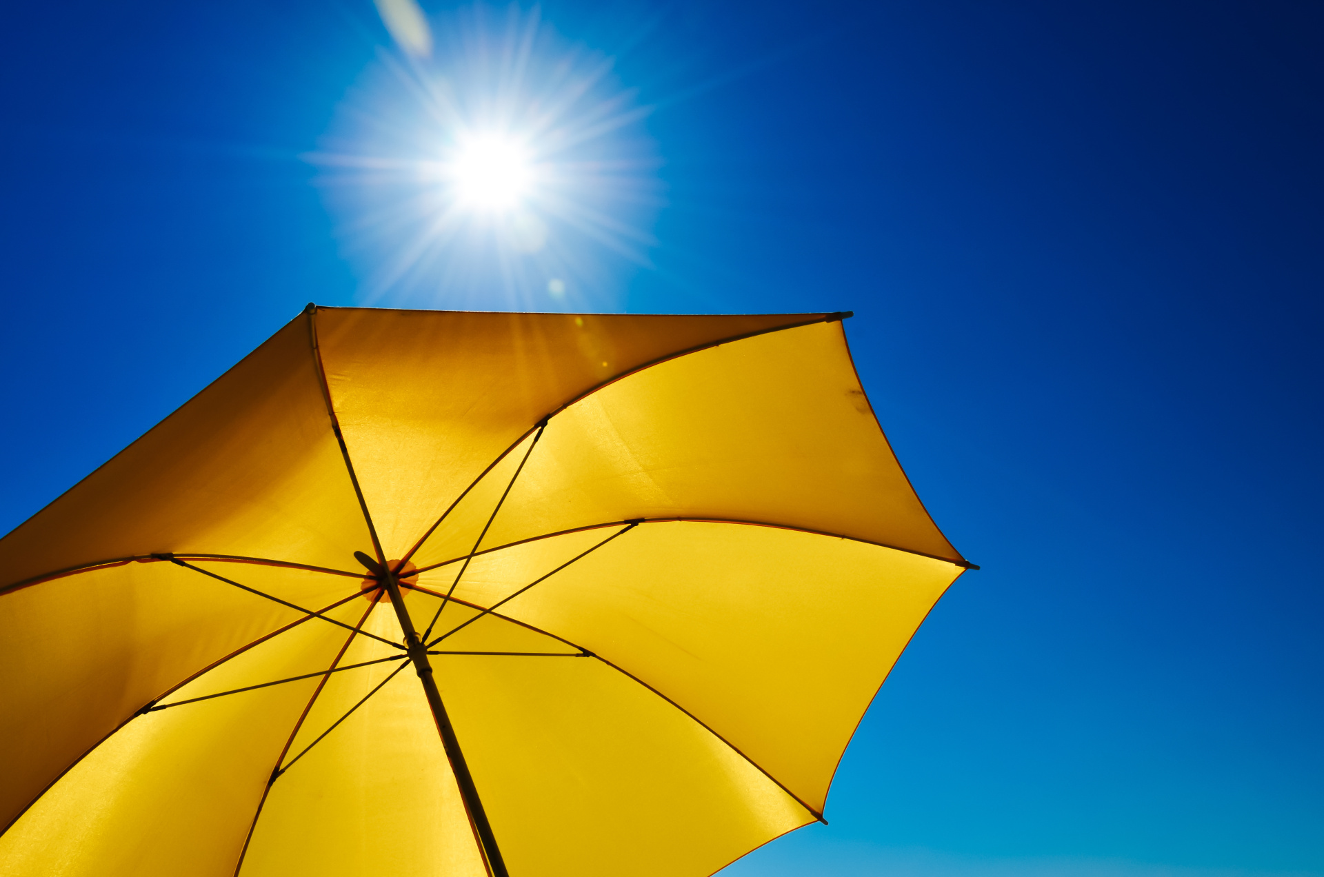 Photo: Robert Fruehauf - stock.adobe.com The umbrella protects from the sun