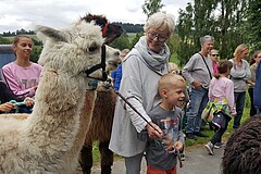 Jede Menge Spaß hatten Kinder, Eltern und Leihgroßeltern beim tierischen Nachmittag mit den Lamas. Foto: A.-K. Michel